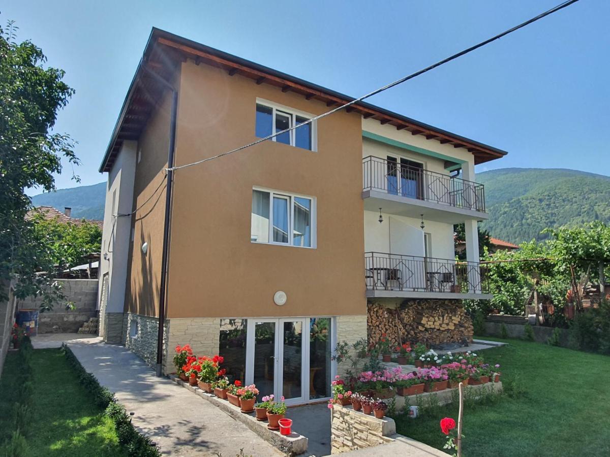 Дамяновата Къща Hotel Sapareva Banya Eksteriør billede